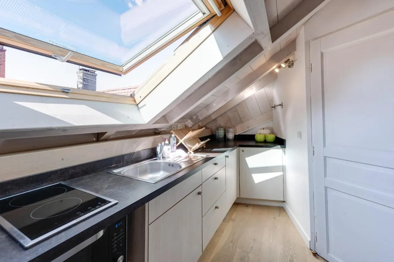 The Attic - Ideally Located In The Old Town Annecy Apartment