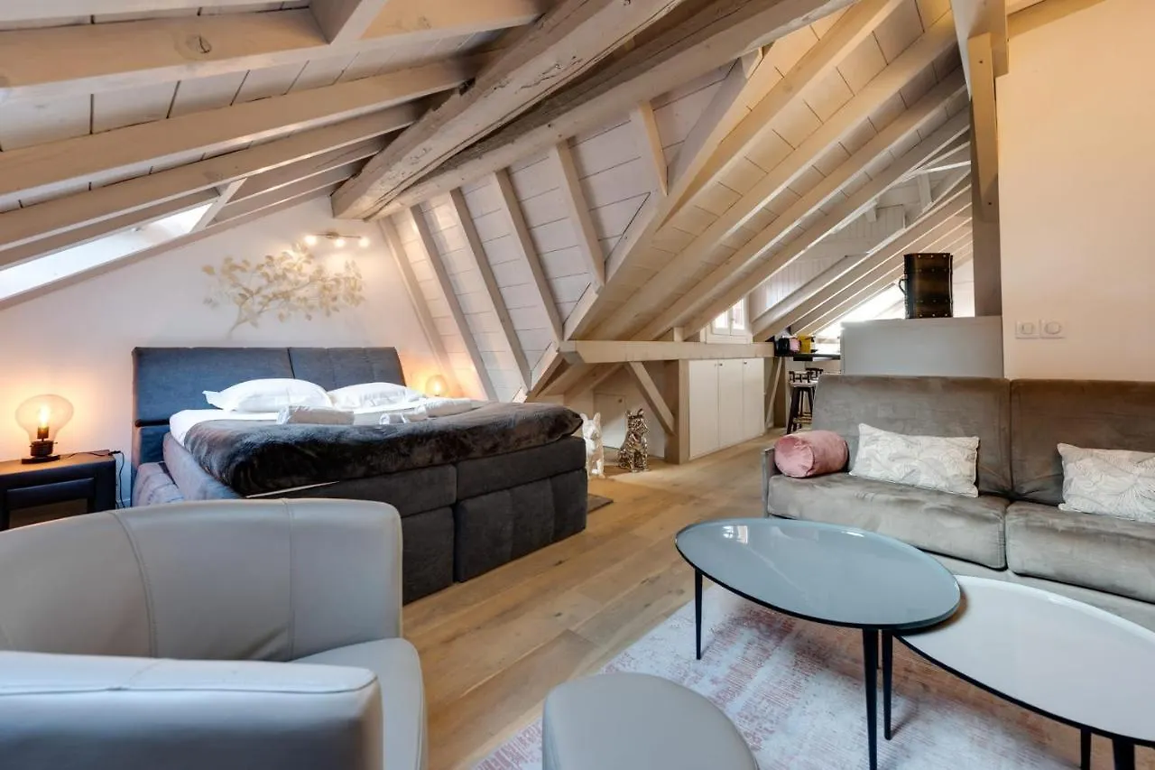 The Attic - Ideally Located In The Old Town Annecy France