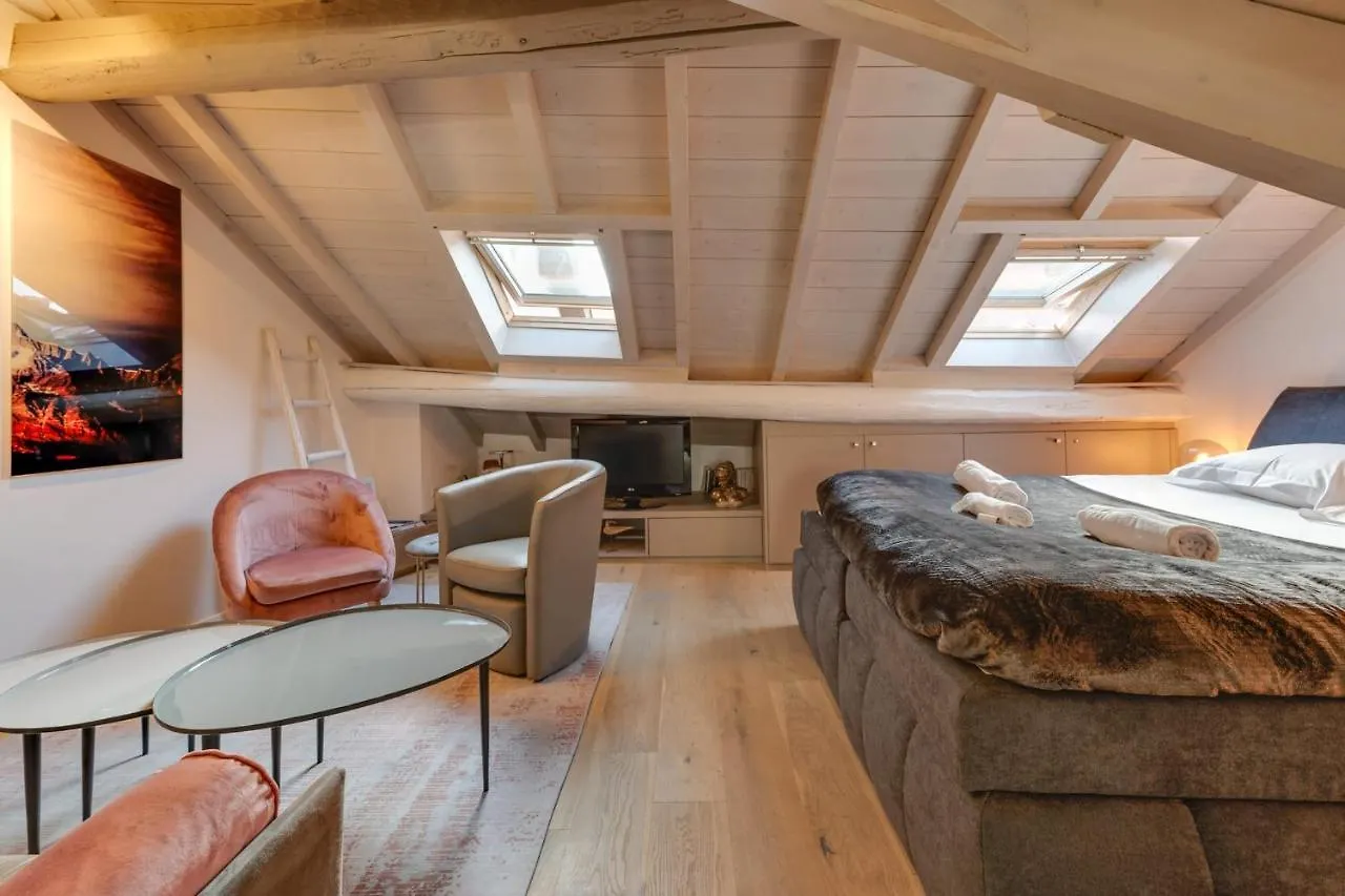 Apartment The Attic - Ideally Located In The Old Town Annecy France