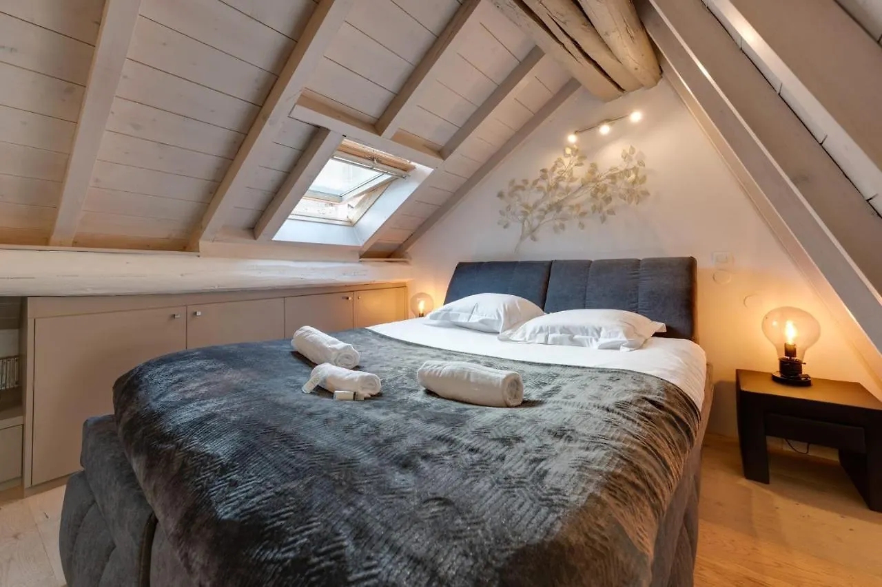 The Attic - Ideally Located In The Old Town Annecy