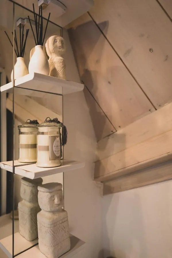 The Attic - Ideally Located In The Old Town Annecy