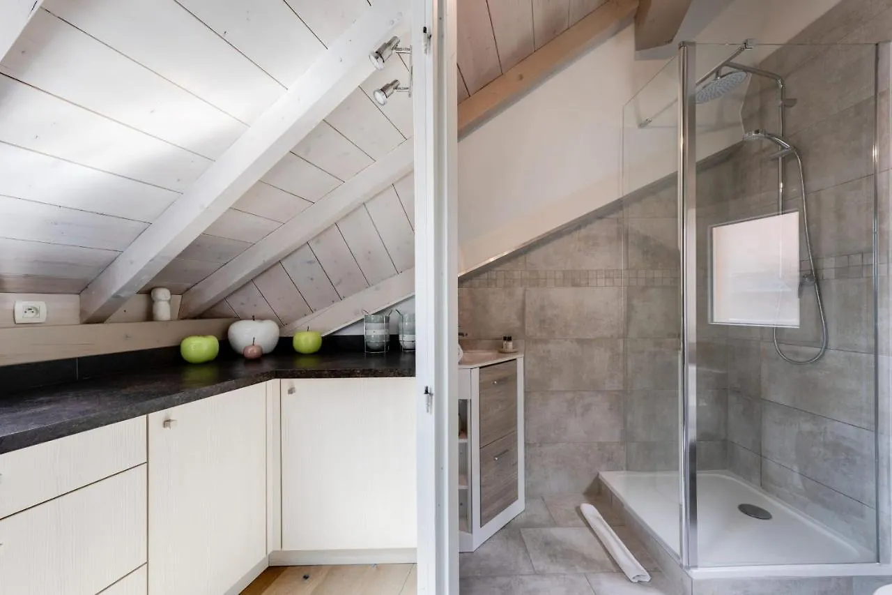 The Attic - Ideally Located In The Old Town Annecy France